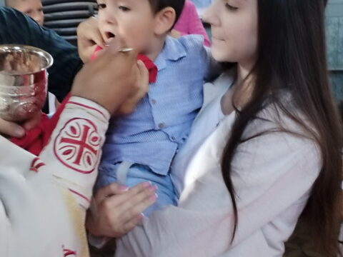 1000006774_resize