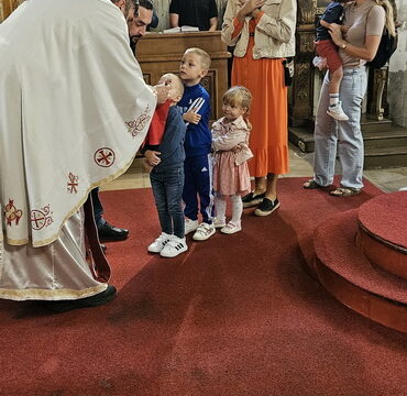 1000010141_resize