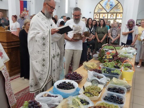 1000015158_resize