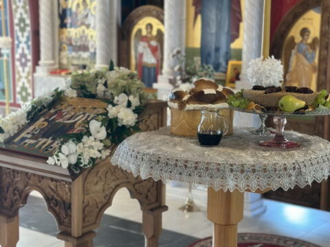 1000046756_resize