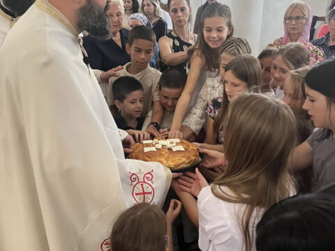 1754135636877_resize