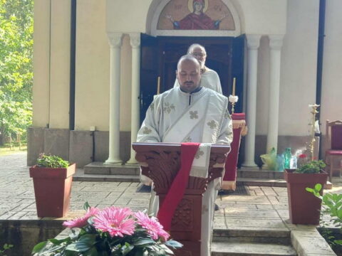 3a18e1c9-6baf-4e10-92d0-cf390221a4a5_resize_resize