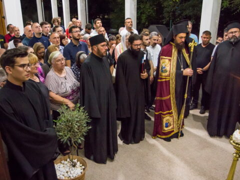 73281 (4)_resize_resize