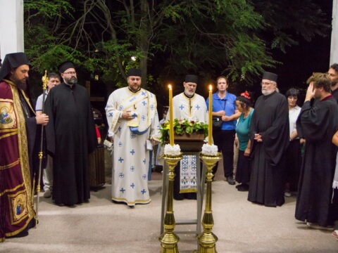 73281 (5)_resize_resize