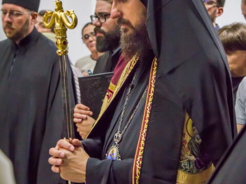 73281 (7)_resize_resize