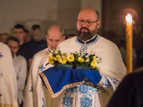 73381_resize_resize