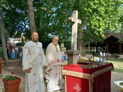 7a0b6d0d-d4fe-47c8-98e9-877cfdf3e0c0_resize_resize