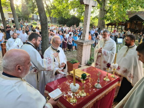 7b6ff9f6-ce84-4ba8-a6e4-5ce8856e4879_resize_resize