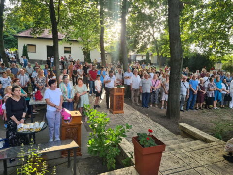 911958c5-2a51-41e7-8bc1-546f90c28fad_resize_resize