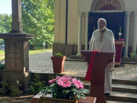 94cba5be-614e-45a4-b2b2-1ed307e938eb_resize_resize