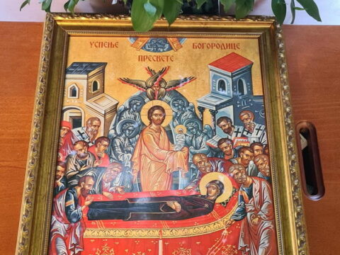 9aa90832-29ff-4819-b6b7-a62bb2dcb8af_resize_resize