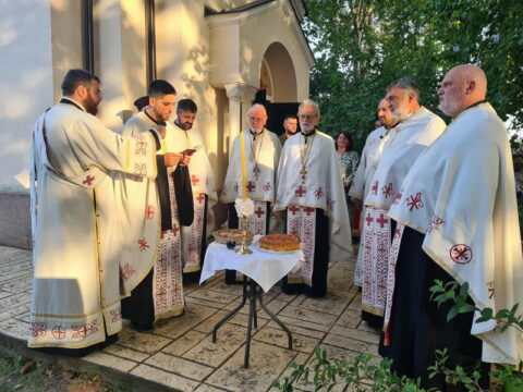 9e148451-4beb-4e3c-a51c-0007bc1835df_resize_resize