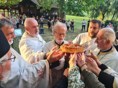 9e597536-e011-47b5-93ce-a7c2c7c49069_resize_resize