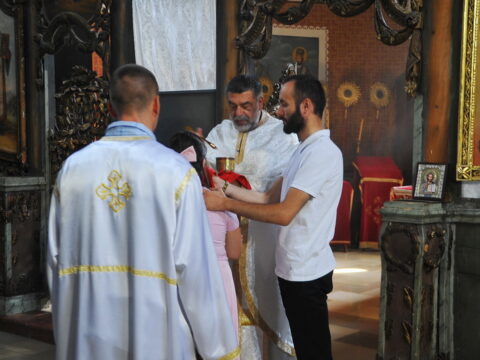 FOTOSIGOR-FACEBOOK+381641182714