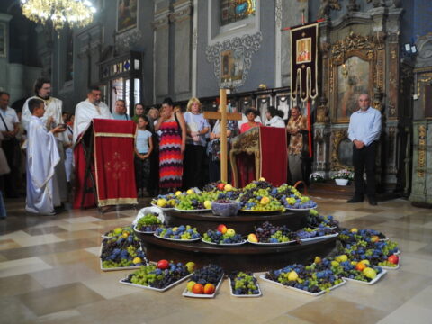 FOTOSIGOR-FACEBOOK+381641182714