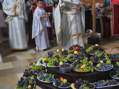 FOTOSIGOR-FACEBOOK+381641182714