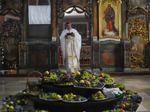 FOTOSIGOR-FACEBOOK+381641182714