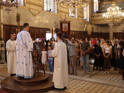 IMG_1779_resize