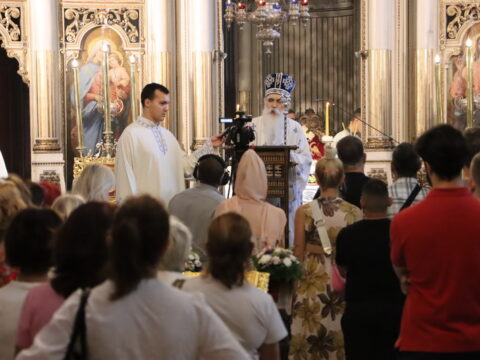 IMG_1782_resize