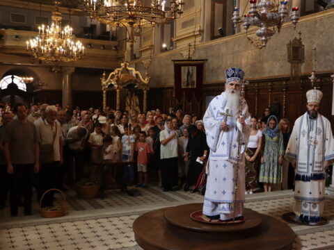 IMG_1846_resize