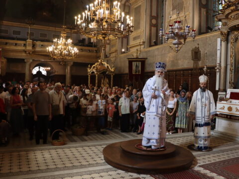 IMG_1847_resize