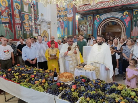 IMG_20250819_104018630_HDR_resize