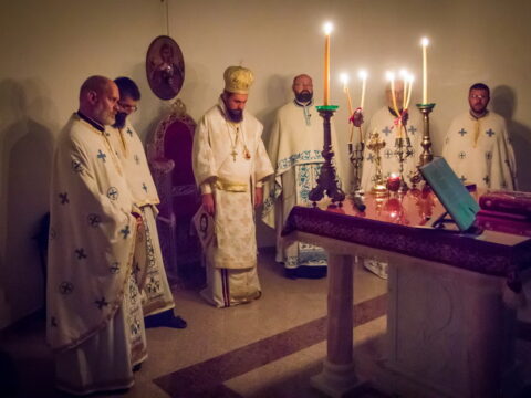 IMG_9659_resize_resize