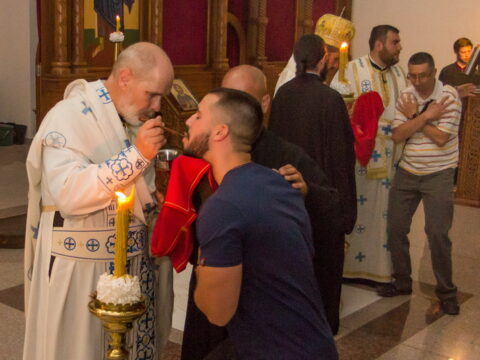 IMG_9722_resize_resize