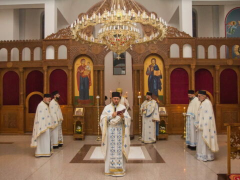 IMG_9727_resize_resize