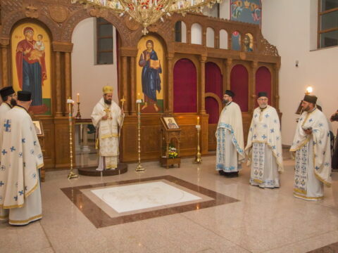 IMG_9731_resize_resize