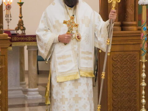 IMG_9737_resize_resize