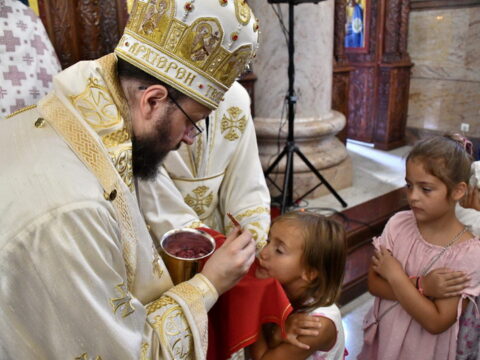 img-2656665_resize