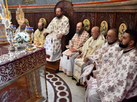 img-4819223_resize