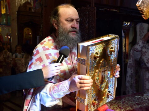 img-6678392_resize