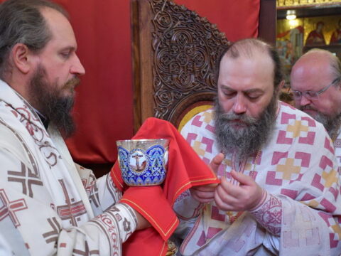 img-8184293_resize