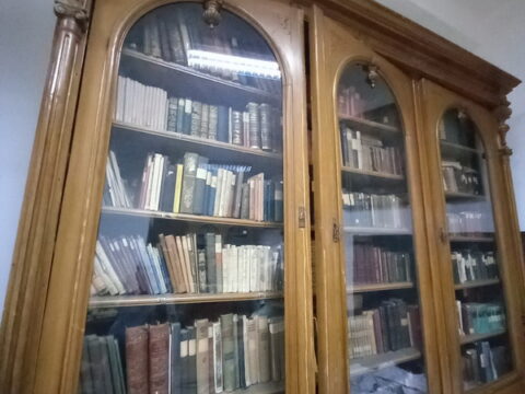 viber_image_2025-08-15_19-44-17-146_resize