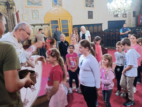 1000000471_resize