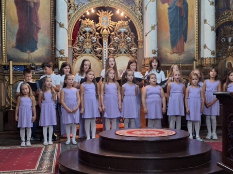 1000003366_resize
