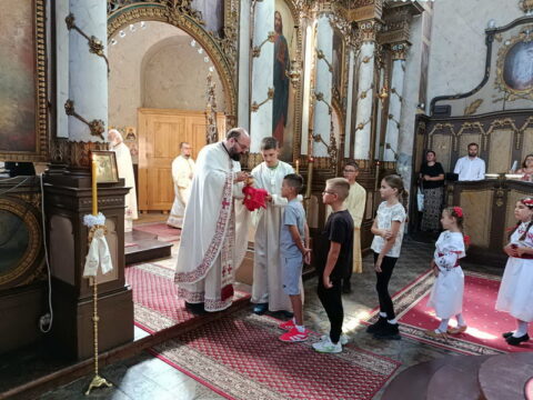 1000003428_resize