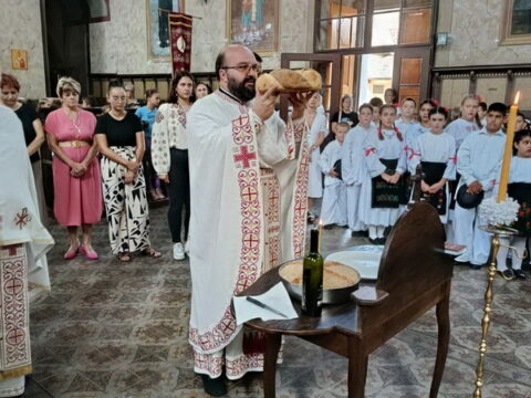 1000003429_resize
