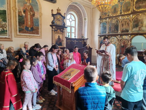 1000007413_resize