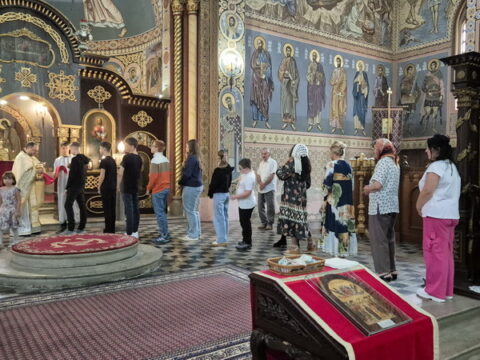 1000010200_resize