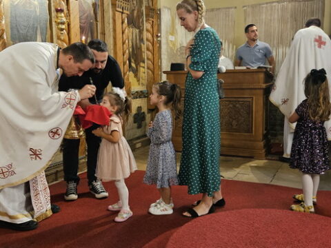 1000010351_resize