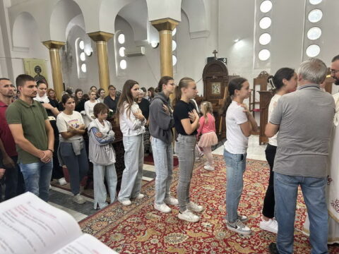1000014384_resize
