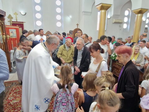 1000017260_resize