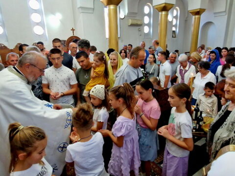 1000017261_resize