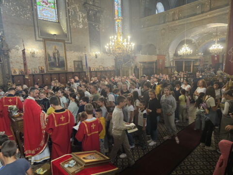 1000028034_resize
