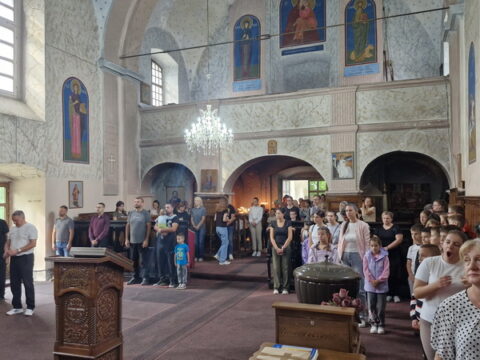 1000035648_resize