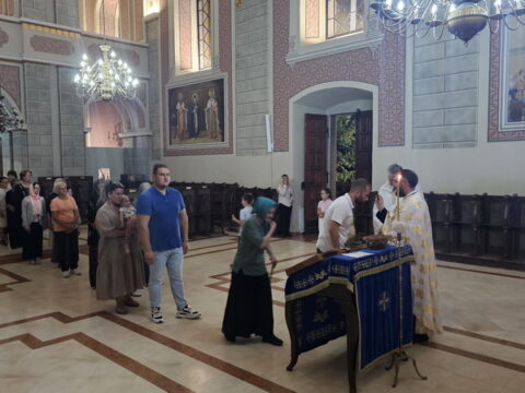 1000042100_resize