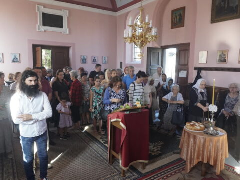 DSC04371_resize